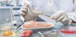 سازمان غذا و دارو