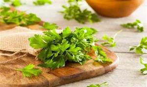 بهداشت نیوز
