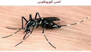 بهداشت نیوز