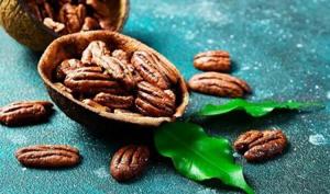 بهداشت نیوز