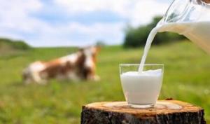 هر گروه سنی روزانه چه مقدار شیر مصرف کند؟ بهداشت نیوز