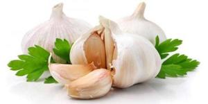 بهترین روش برای نگهداری طولانی مدت سیر/ چگونه سیر تازه را در فریزر نگه داریم؟ بهداشت نیوز