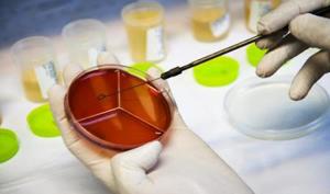 بهداشت نیوز