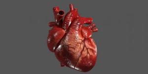 بهداشت نیوز