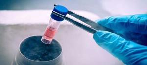 فریز جنین برای چه افرادی توصیه می‌شود؟