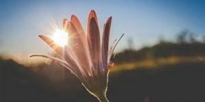 بهداشت نیوز