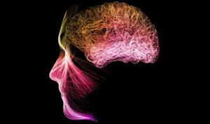 بهداشت نیوز