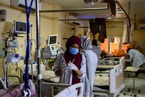 WHO issues its first-ever reports on tests and treatments for fungal infections