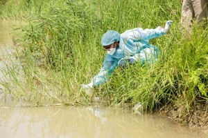 Cholera kills more people for second consecutive year, ...