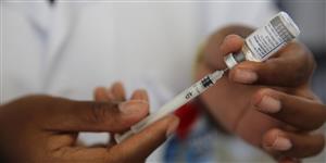 PAHO issues new epidemiological alert amid rising yellow fever cases in the Americas