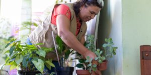 Mosquito Awareness Week: PAHO Director urges strengthen ...