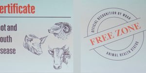 Bolivia and Brazil certified free of foot-and-mouth disease without vaccination: A milestone for trade, health, and food security