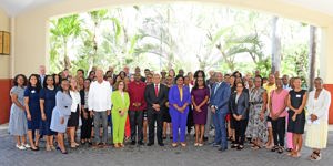 PAHO, HCC and GHAI Convene Stakeholders to Address the  ...