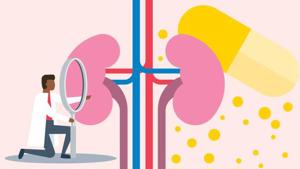 Is Berberine Bad for Kidneys?
