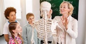 Tickle Your Funny Bone With These 15 Fun Facts About Bones