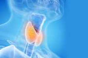 معاونت بهداشت