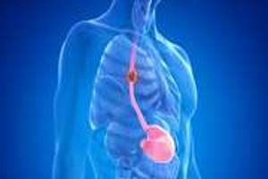 معاونت بهداشت