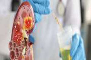 معاونت بهداشت