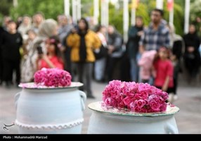 تسنیم