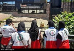 تسنیم