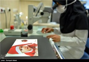 ارجاع پرونده بیمارستان آبان به مراجع قضایی/انتقال جنین‌ها با هماهنگی صاحبان