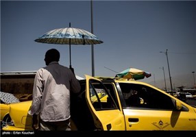 تسنیم