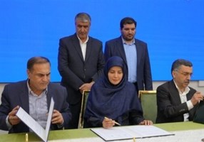 تسنیم