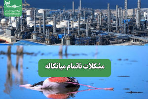 سلامت نیوز