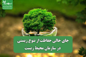 سلامت نیوز