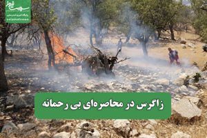 سلامت نیوز