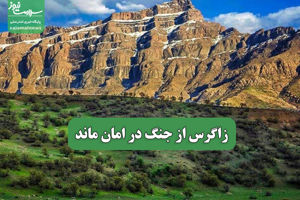 سلامت نیوز