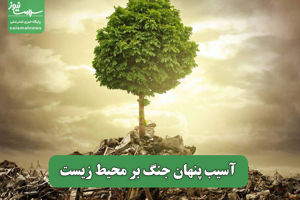 سلامت نیوز