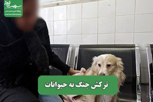 سلامت نیوز