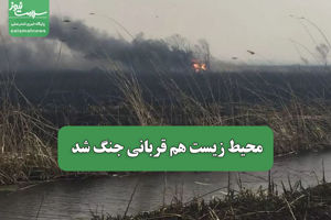 سلامت نیوز