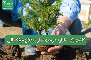 سلامت نیوز