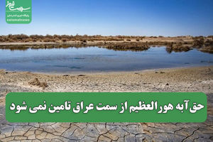 سلامت نیوز