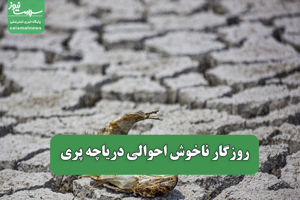 سلامت نیوز