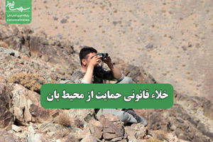 سلامت نیوز