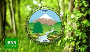 سلامت نیوز