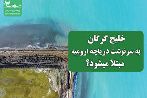 سلامت نیوز