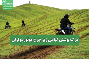 سلامت نیوز