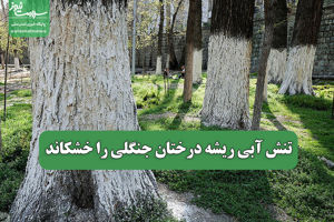 سلامت نیوز