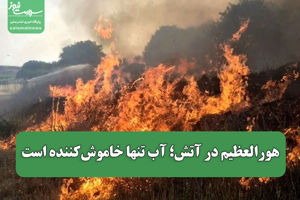 سلامت نیوز