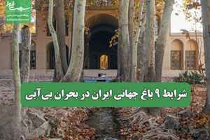 سلامت نیوز