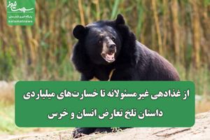 سلامت نیوز