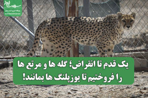 سلامت نیوز
