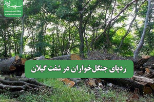 سلامت نیوز