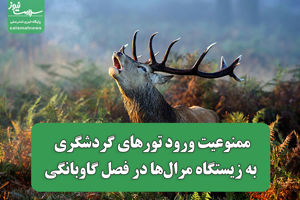سلامت نیوز