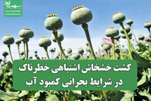سلامت نیوز