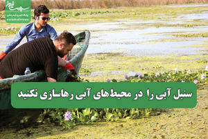 سلامت نیوز